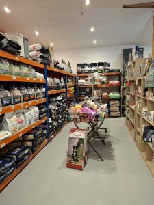 Rayon chien